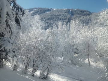 Chambre À Louer Seyne 488505