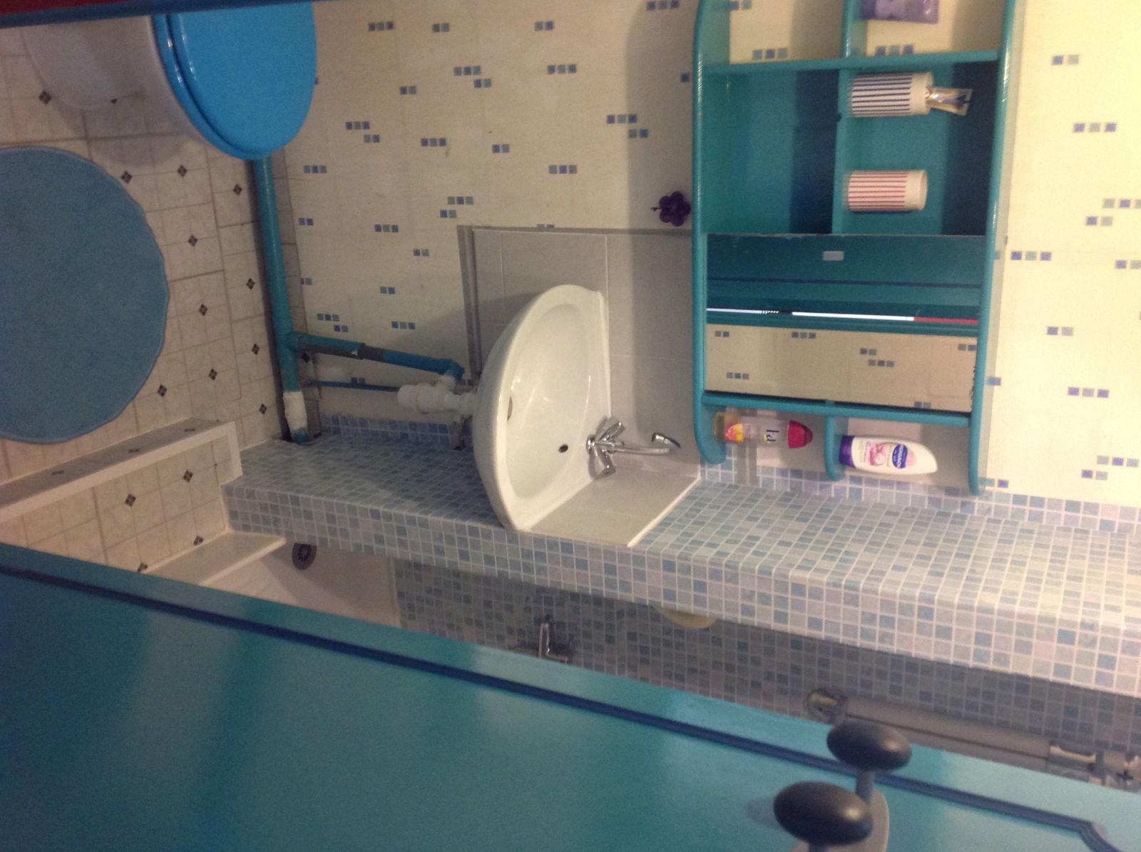 Homestay Orléans 118661