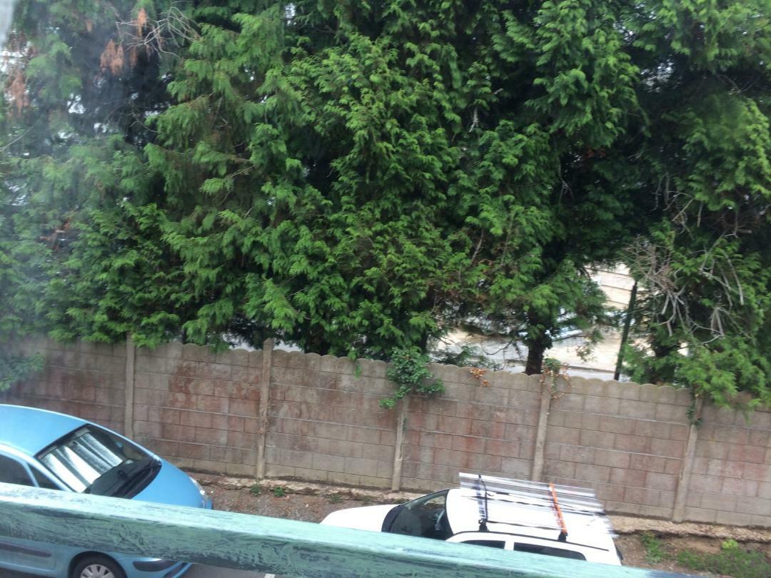 Colocation Rennes 257259