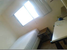 Furnished Room in Cute 2 bed/1 bath