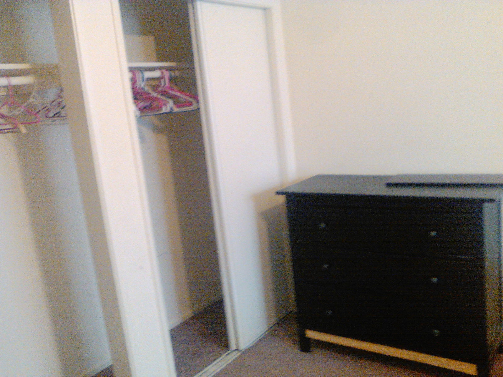 Homestay Culver City 120326