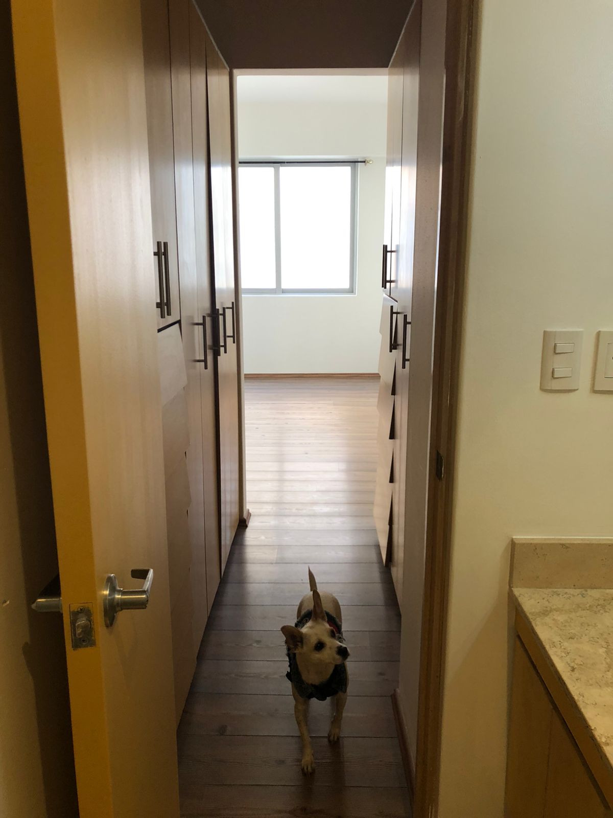 Homestay México D.F. 266802