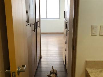 Chambre Chez L'habitant México D.f. 266802-6