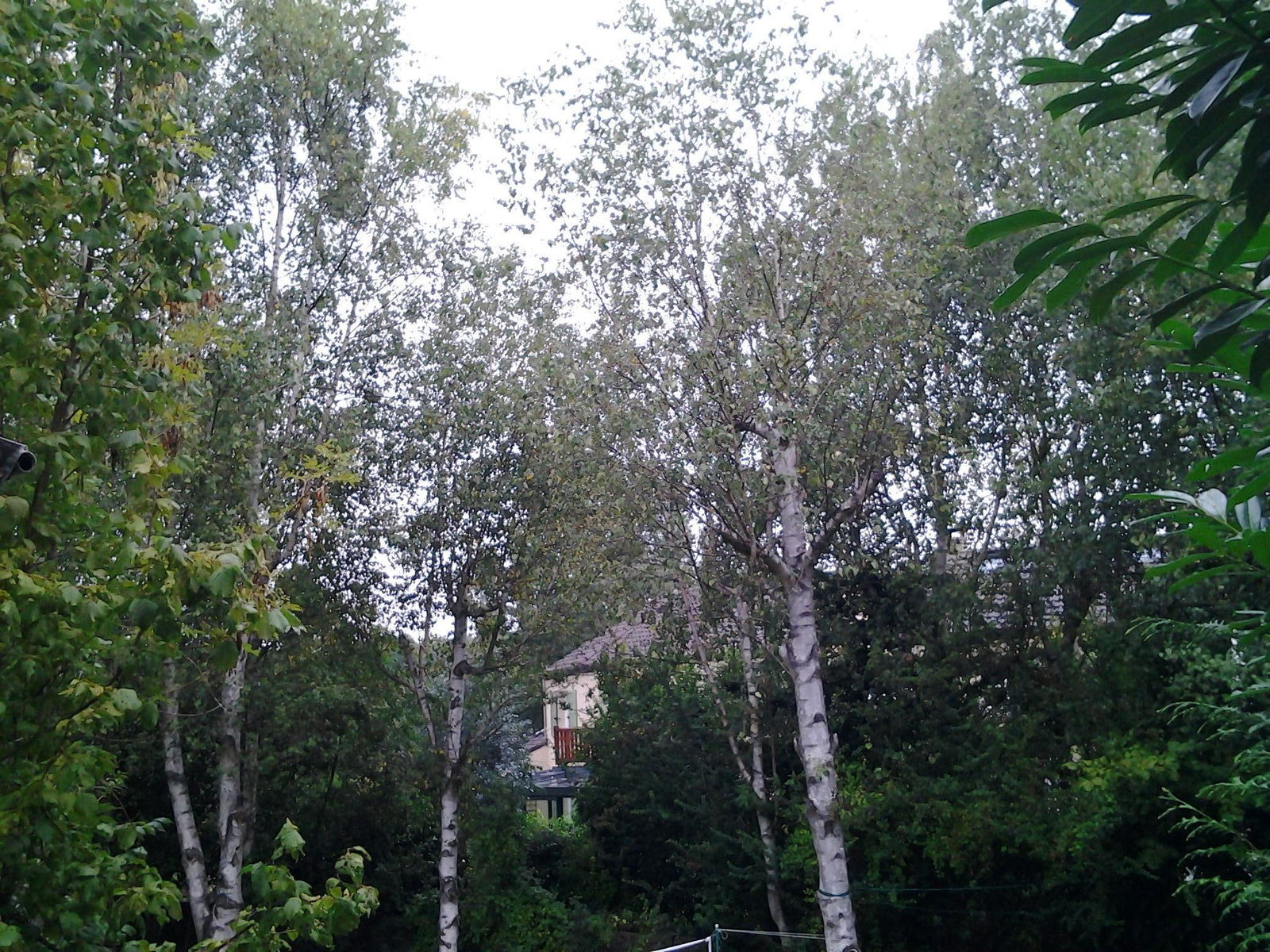 Homestay Guyancourt 113765