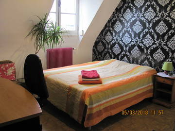 Room For Rent Faches-Thumesnil 196553-1