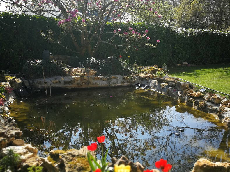 Homestay Joué-lès-Tours 221703-5