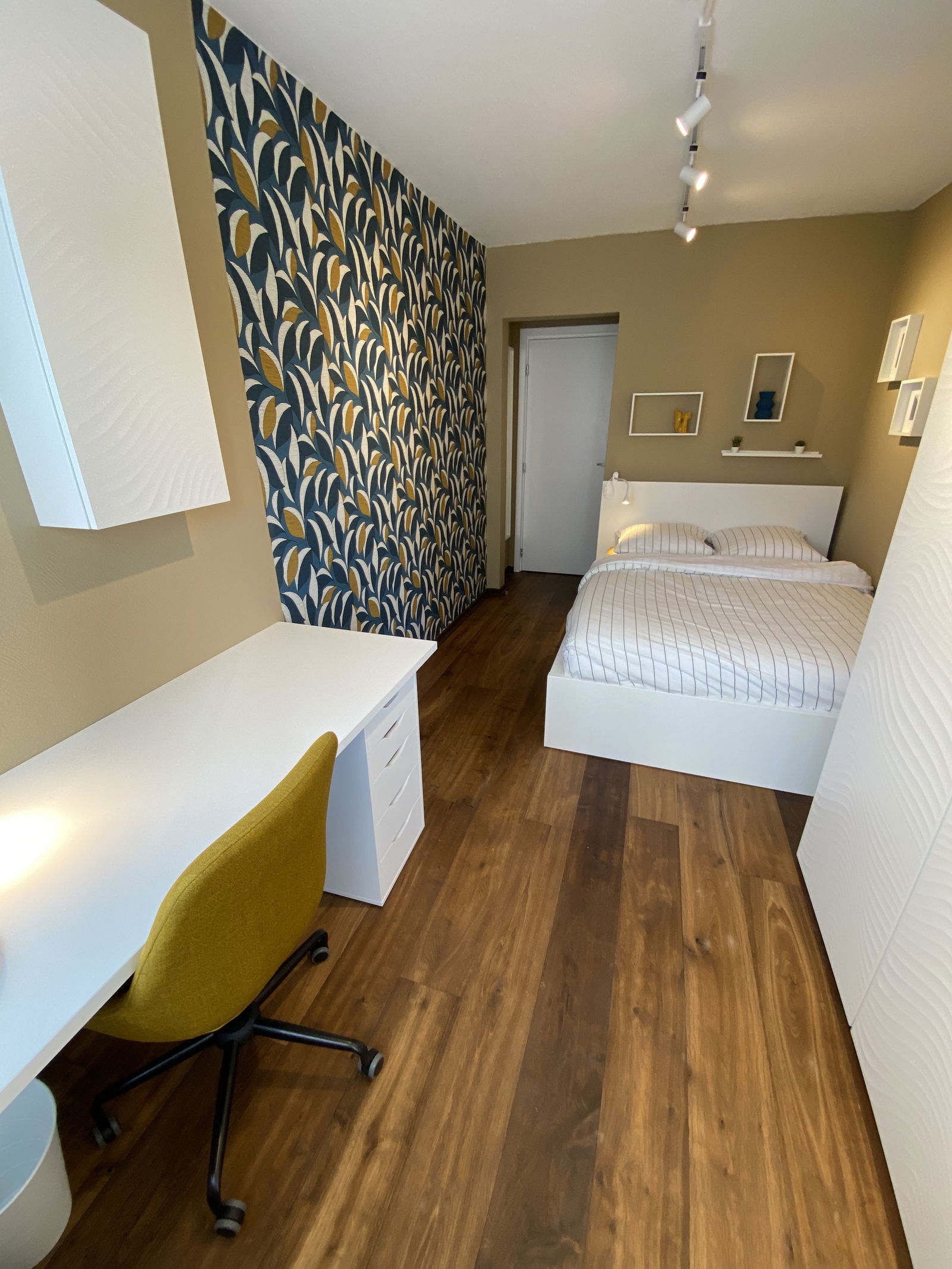 Colocation Strasbourg 351298