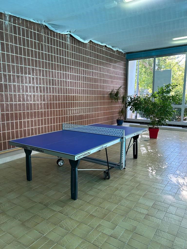 Homestay Strasbourg 504216