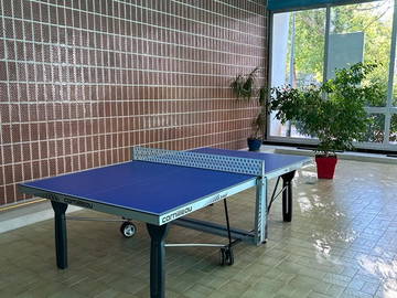 Chambre Chez L'habitant Strasbourg 504216-14