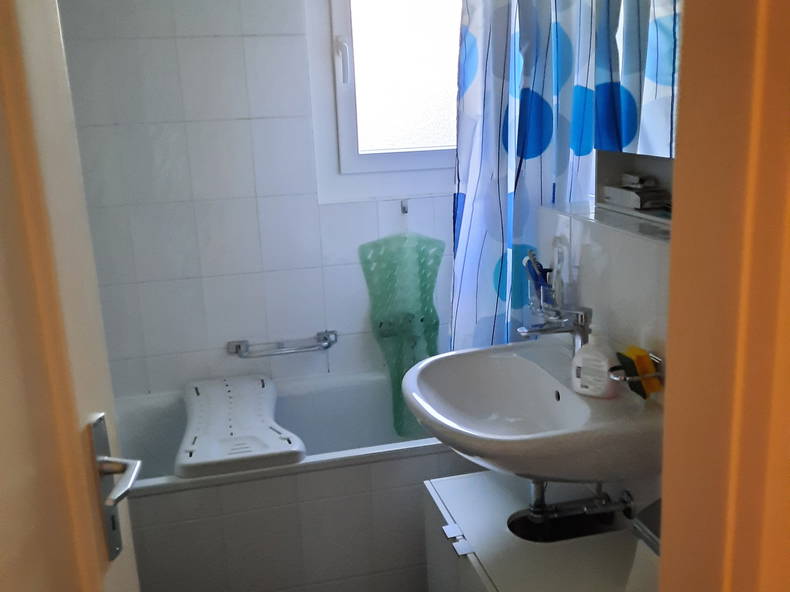 Colocación Romanel-sur-Lausanne 256215-5