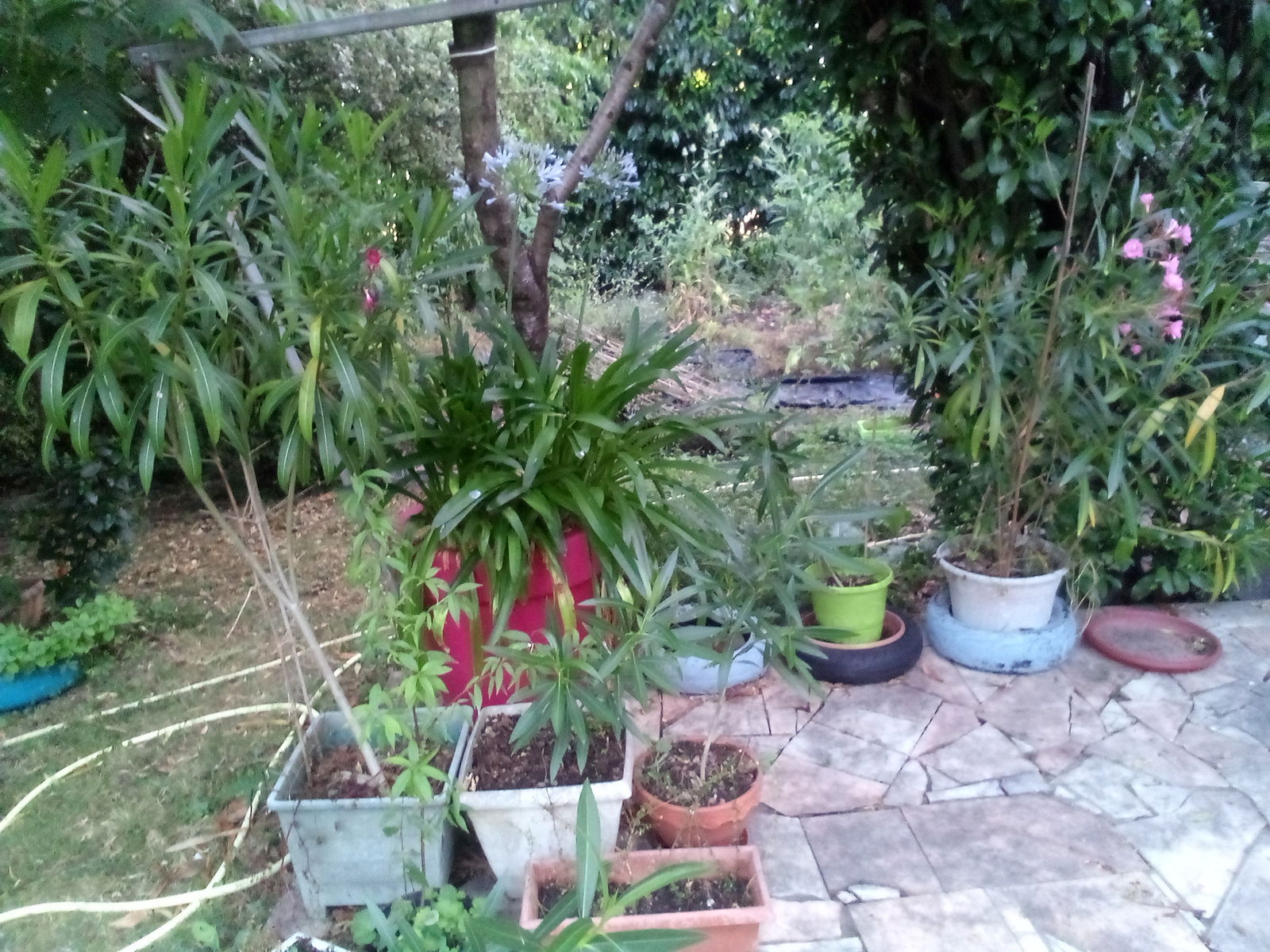 Homestay Erdre-en-Anjou 561490