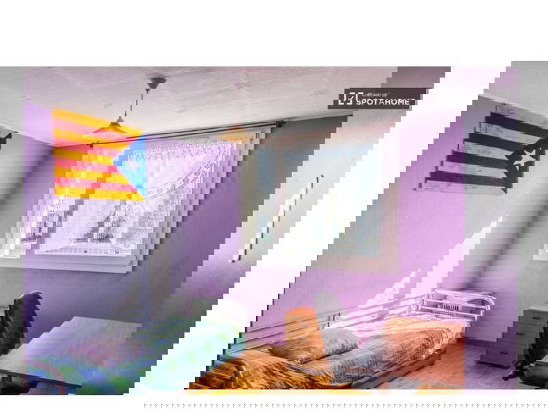 Kolokation Lyon 351685-1