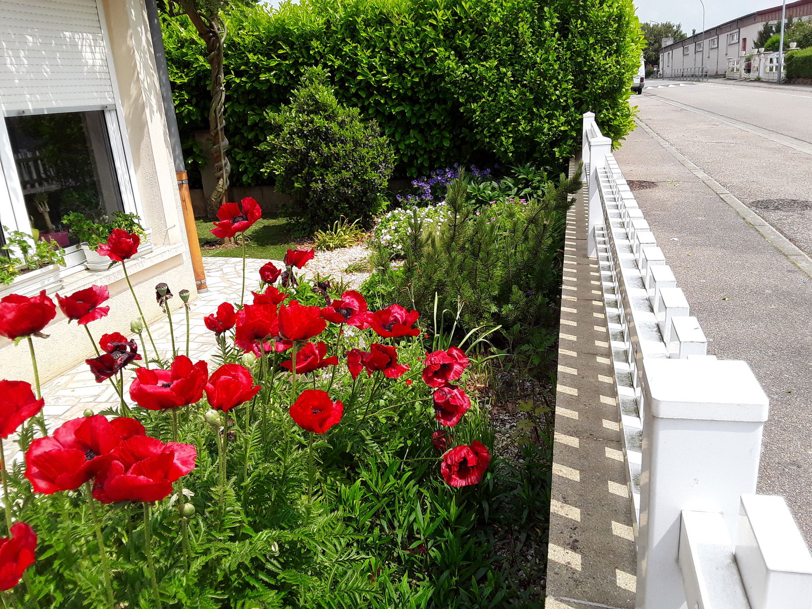 Homestay Guénange 133208