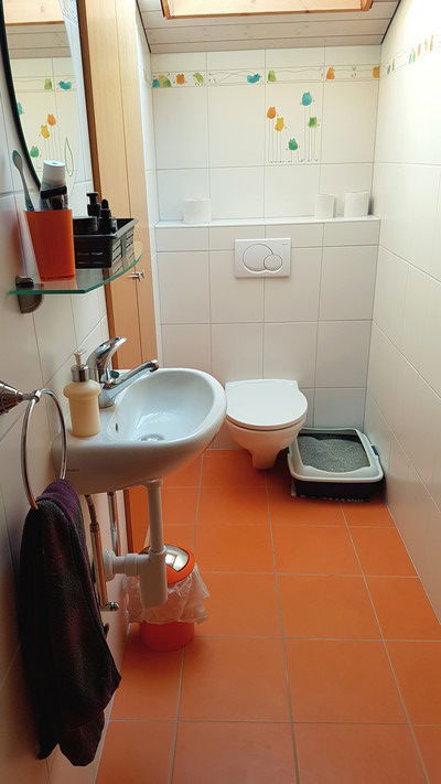 Homestay Orbe 264962