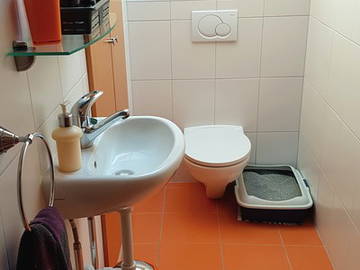 Chambre Chez L'habitant Orbe 264962-8