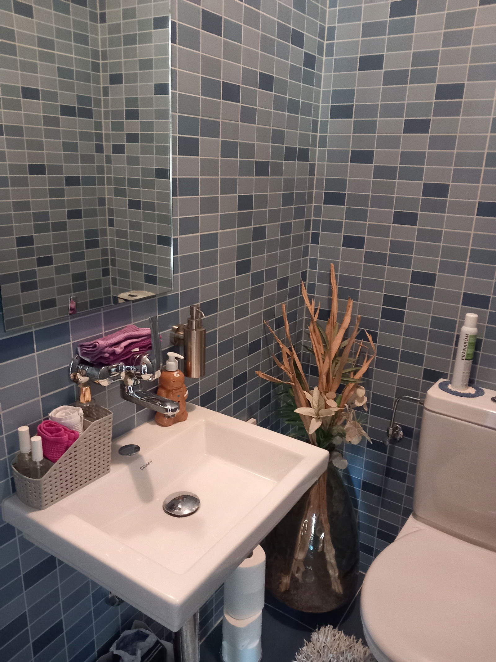 Homestay Belmont-Broye 268473