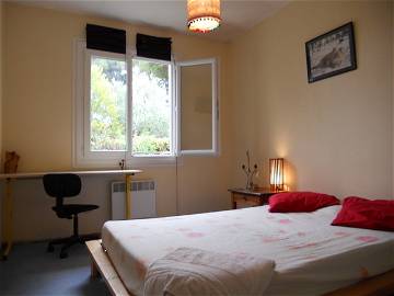 Room For Rent Montpellier 39851-1