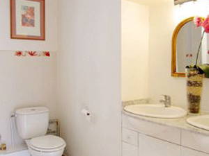 Chambre Chez L'habitant Paris 263912-6