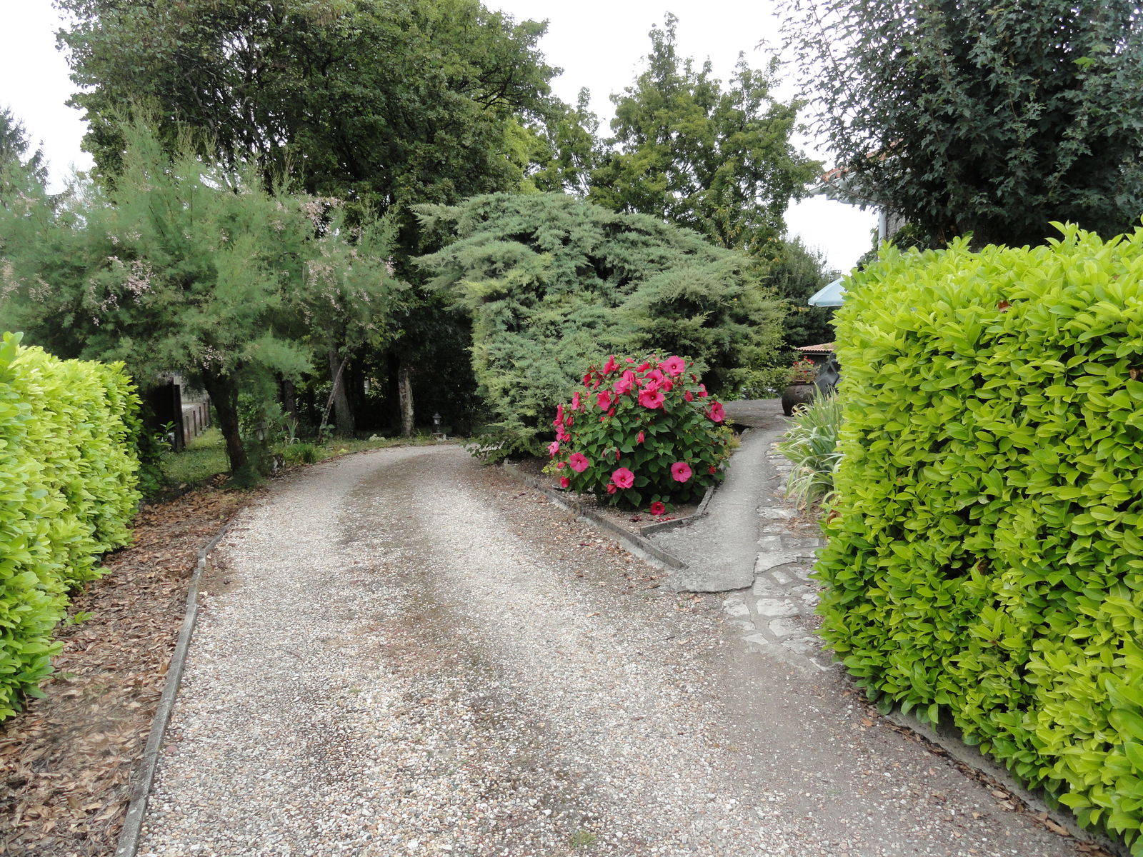 Homestay Cherves-Richemont 252071