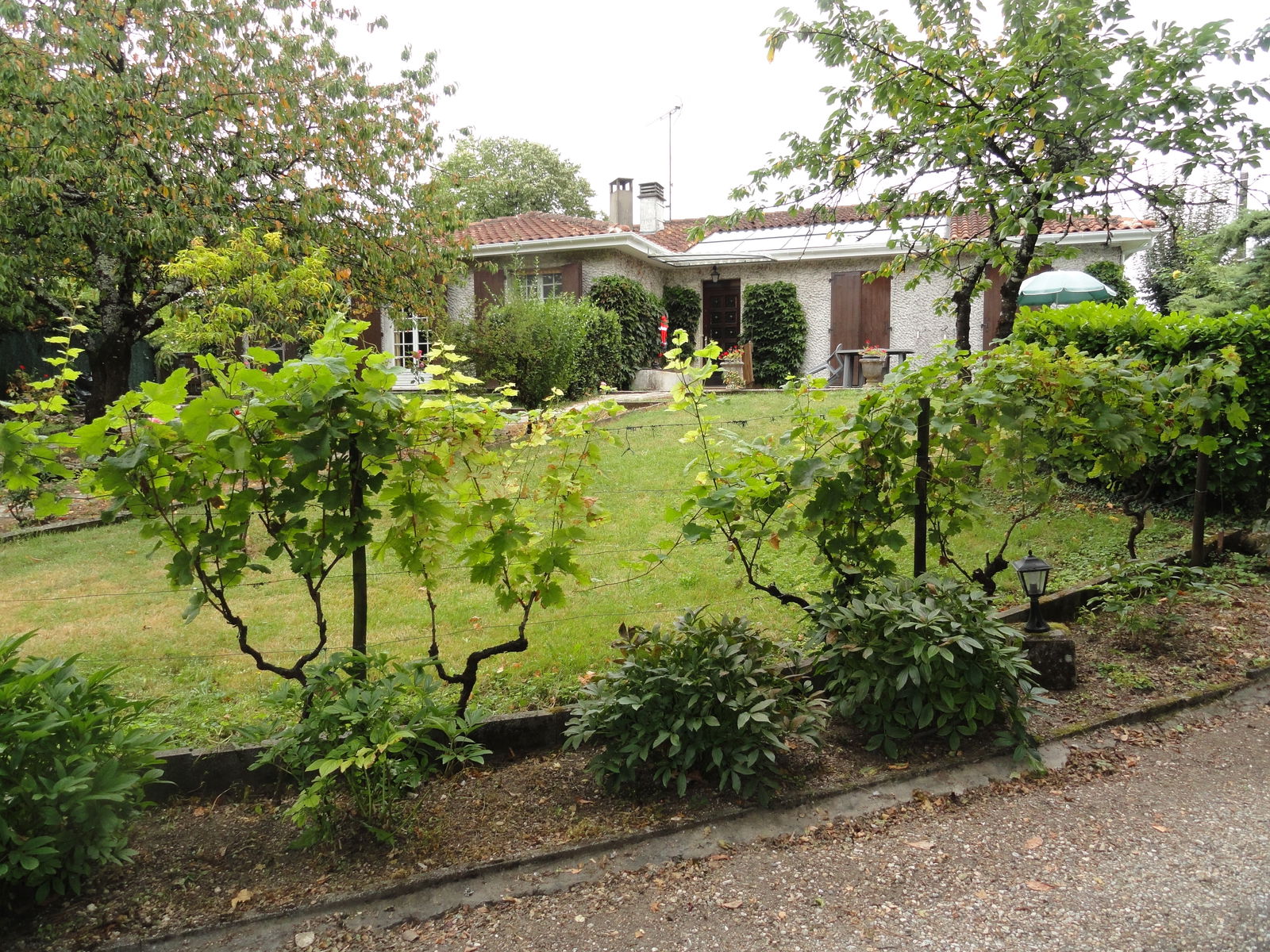 Homestay Cherves-Richemont 252071