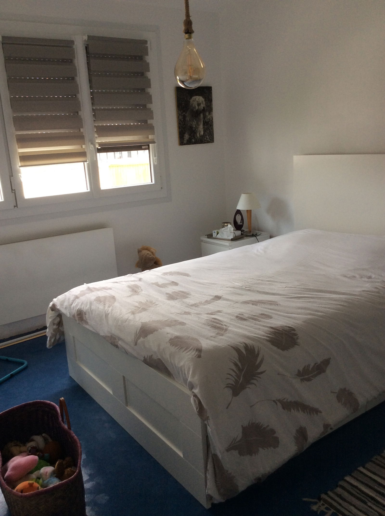 Colocation Seyssinet-Pariset  27147