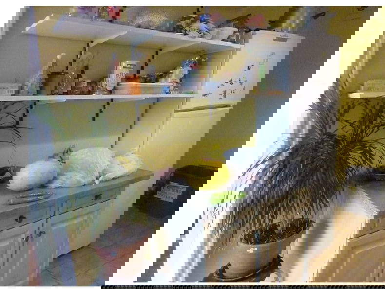 Kolokation Bron 390186-2