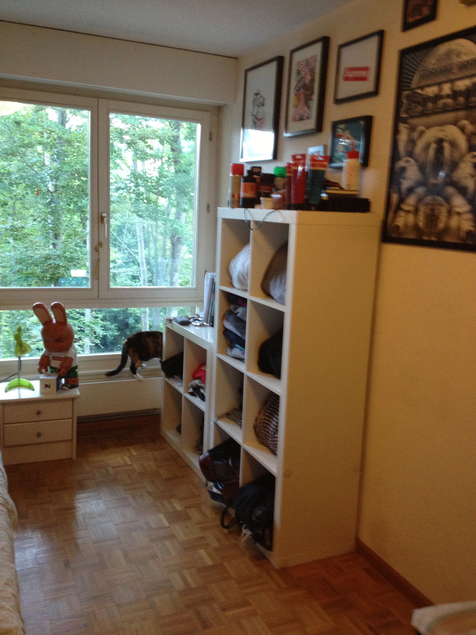 Colocation Epalinges 69674