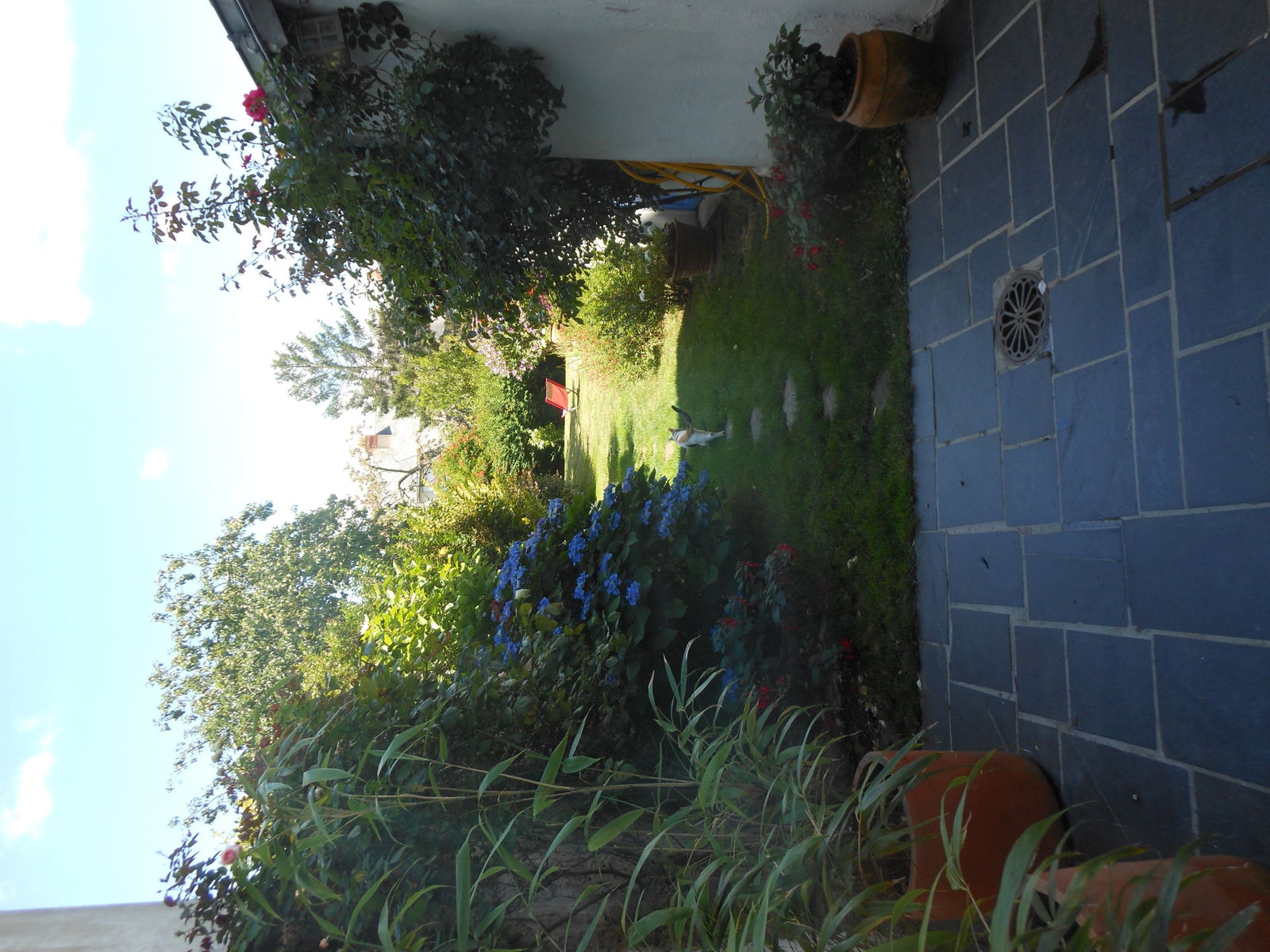 Homestay Nantes 89829