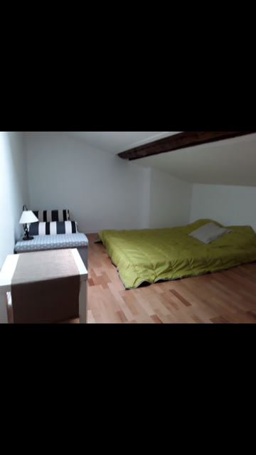 Colocation Lyon 170052