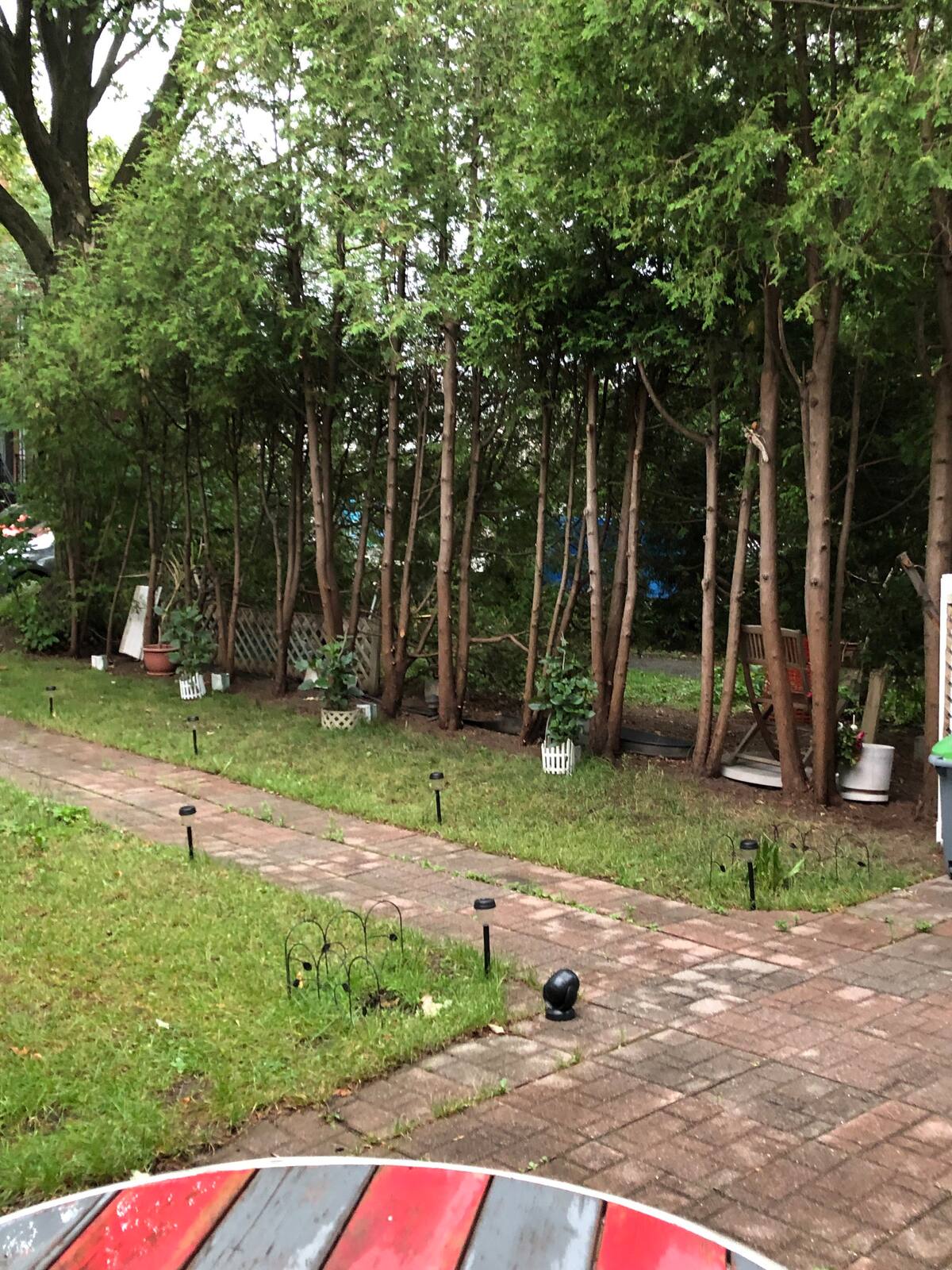 Homestay Montréal 338275