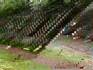 Chambre Chez L'habitant Montréal 338275-5