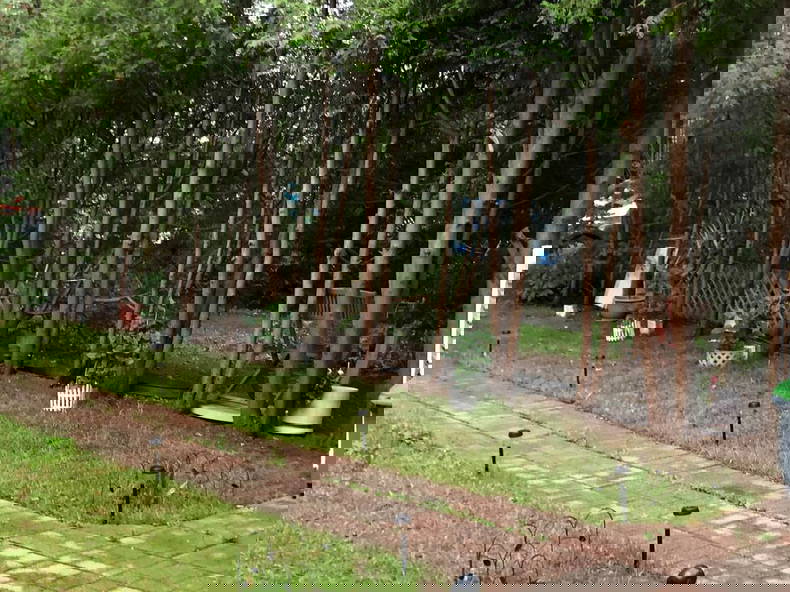 Gastgezin Montréal 338275-5