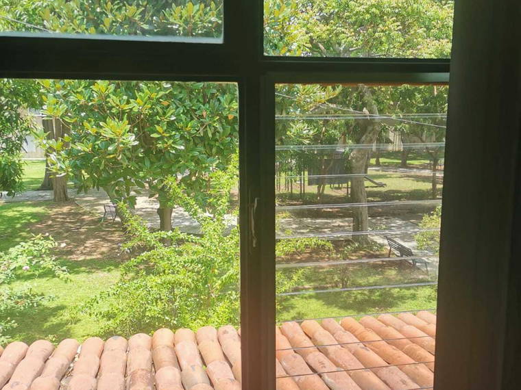 Homestay Guadalajara 251066