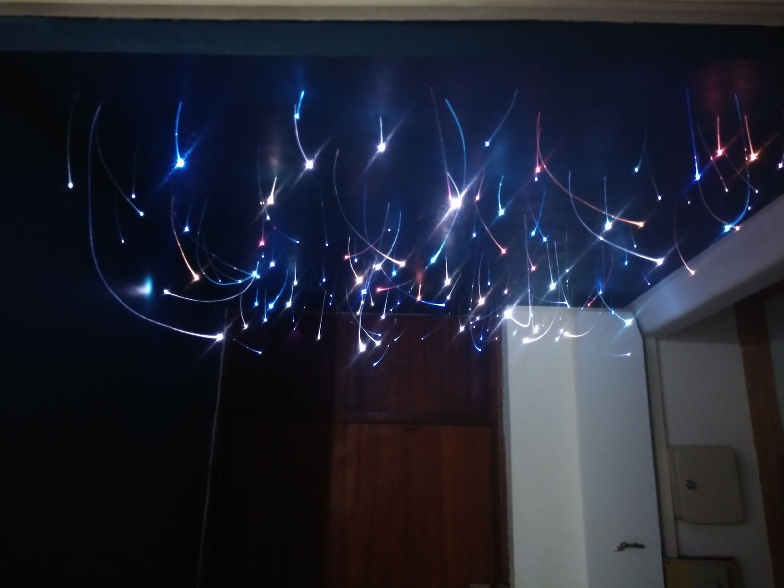 Homestay Lyon 215856