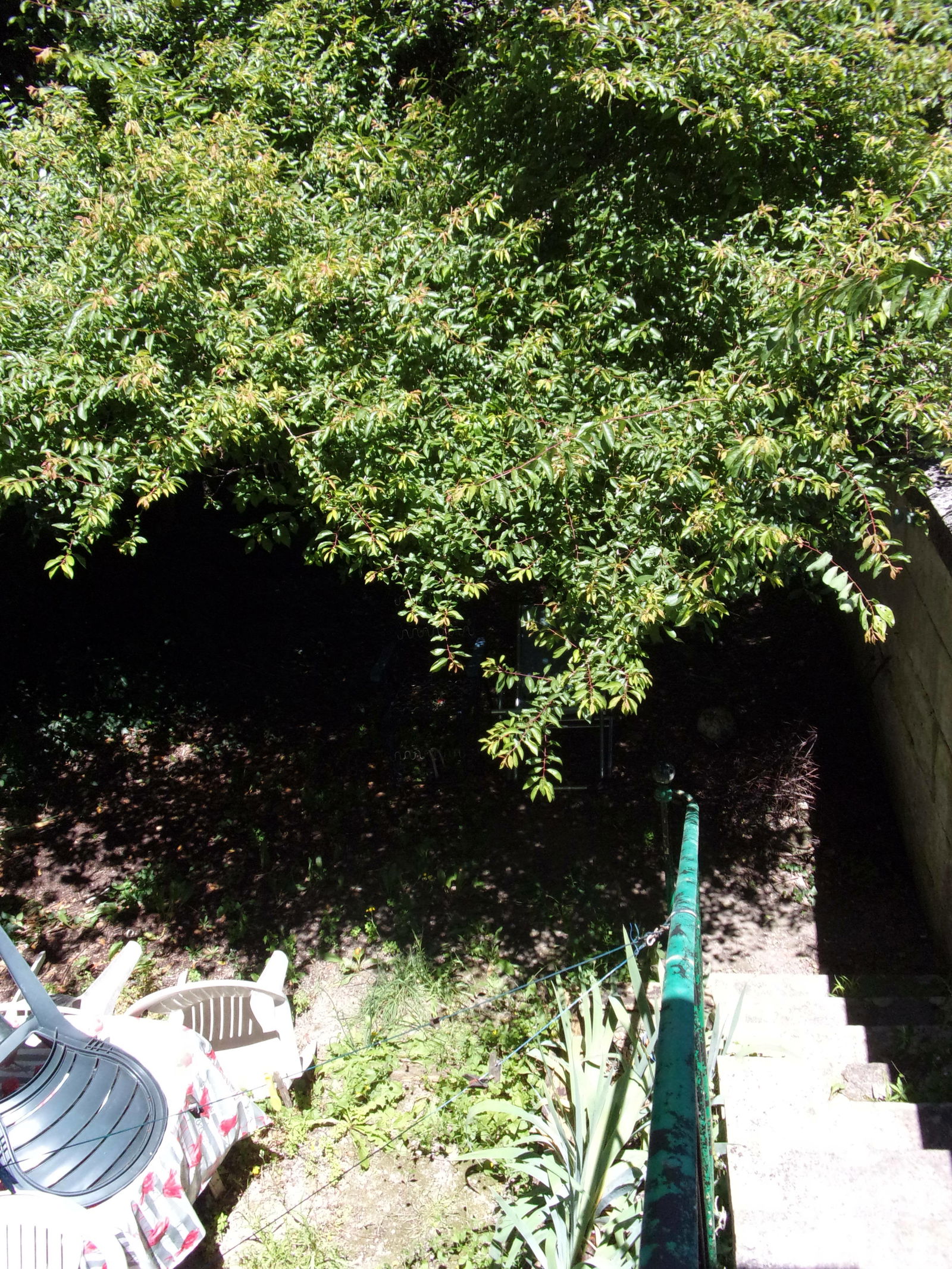 Homestay Angoulême 141411