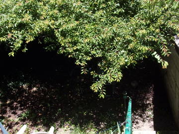 Chambre Chez L'habitant Angoulême 141411-11