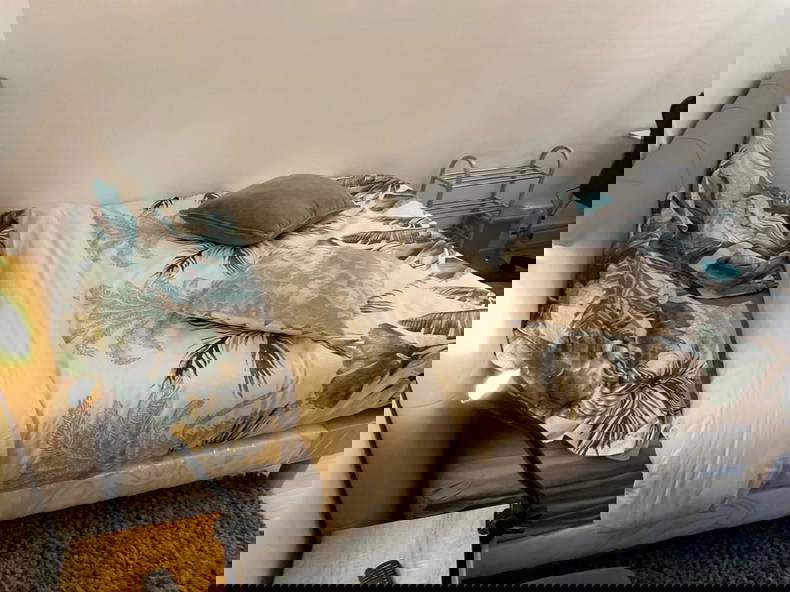 Kolokation Évry-Courcouronnes 295684-2