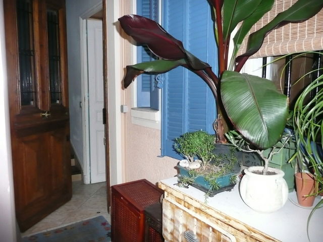 Homestay Cannes 14940