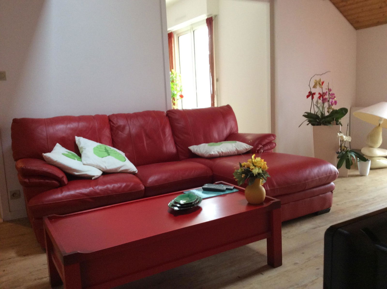 Colocation Cholet 141047