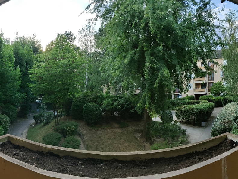 Kolokasie Évry 238154-5