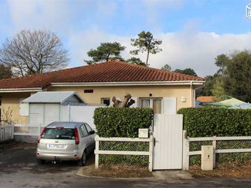 Kolokasie Labenne 249939-8