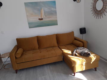 Kolokasie Labenne 249939-9