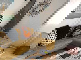 Kolokasie Labenne 249939-4