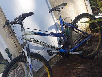 Kolokasie Labenne 249939-10