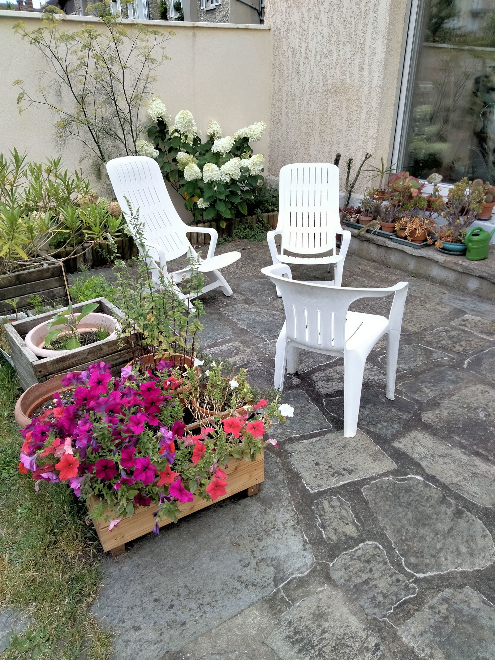 Homestay Mantes-la-Jolie 113756