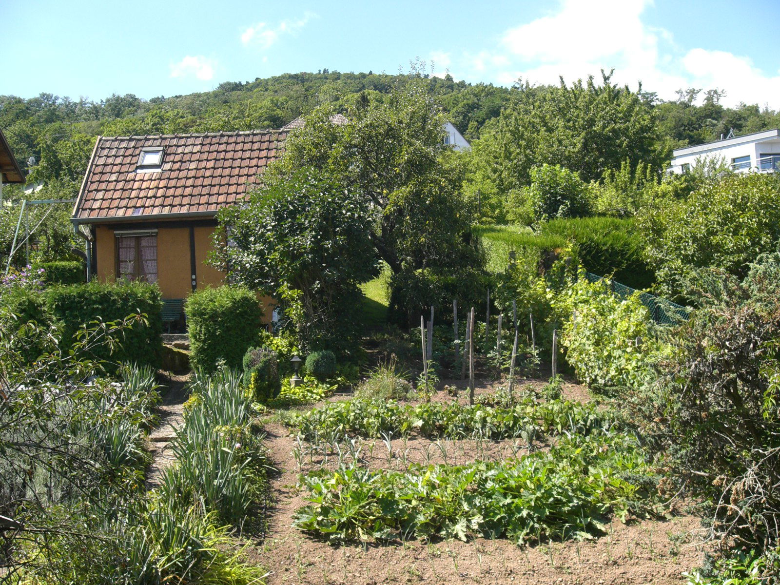 Homestay Guebwiller 496953