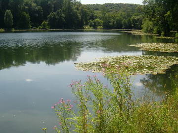 Logement Entier Chaville 62471-9