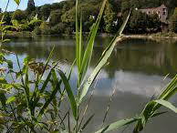 Logement Entier Chaville 62471-10