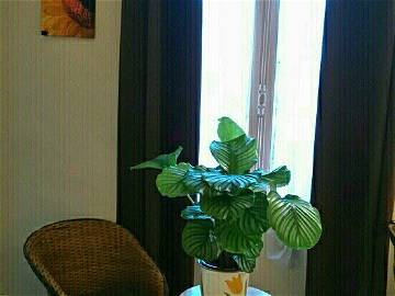 Logement Entier Nantes 112112-4