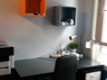 Room For Rent Lyon 133539